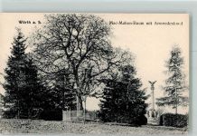 Woerth Wörth an der Sauer Mac-Mahon-Baum mit Armeedenkmal Reichseinigungskriege Denkmal
