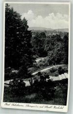 Bad Salzbrunn Szczawno-Zdroj Foto AK Steingarten Kurhotel