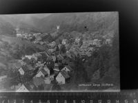 37449 W3421 Zorge GLASNEGATIV