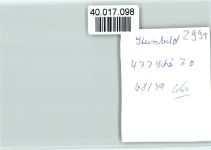 26892 W2992 Steinbild FOTO KEINE AK