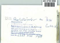 31848 W3252 Bad Münder am Deister FOTO KEINE AK Luftaufnahme Rohmelbad