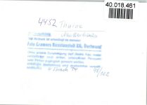 W4452 Thuine , Emsl Mutterhaus Krippe Krippe FOTO KEINE AK