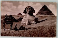 Kairo Cairo 1954 Foto AK Denkmal Sphnix Pyramide Kamel Tracht