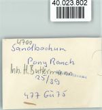 59063 W4700 Sandbochum FOTO KEINE AK Pony Ranch Inh. H. Buttermann