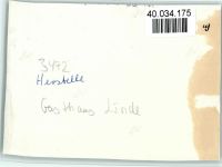 37688 W3472 Herstelle FOTO KEINE AK Gasthaus Linde