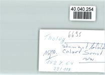 66636 W6695 Tholey FOTO KEINE AK Ortsansicht