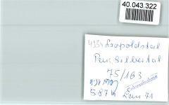 32805 W4934 Leopoldstal , Lippe FOTO KEINE AK Pension Silbertal