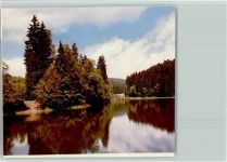 38700 W3389 Hohegeiß FOTO KEINE AK Neuer Teich