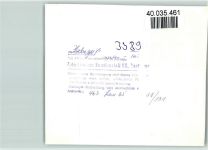 38700 W3389 Hohegeiß FOTO KEINE AK Neuer Teich