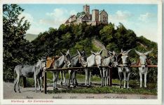 99817 O5900 Eisenach , Thür - Esel Standplatz Wartburg
