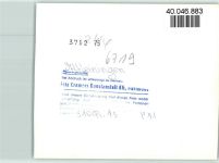 67316 W6719 Altleiningen FOTO KEINE AK Luftaufnahme