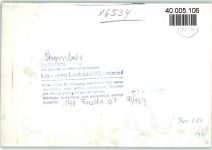 55442 W6534 Stromberg , Hunsrück FOTO KEINE AK