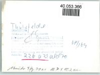 26169 W2908 Thülsfelde FOTO KEINE AK See