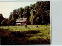 56290 W5449 Mörsdorf , Hunsrück FOTO KEINE AK Lähres-Mühle