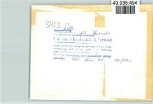 W3453 Polle , Weser Weserdampfer MS Hameln Dampfer Deutschland FOTO KEINE AK
