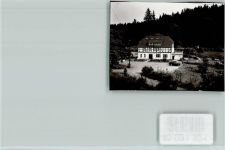 37603 W3450 Fohlenplacken FOTO KEINE AK Alte Mühle