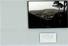 69429 W6935 Waldkatzenbach FOTO KEINE AK Talblick