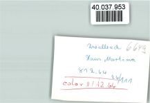 66709 W6649 Zwalbach FOTO KEINE AK Haus Martina