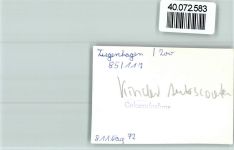 37213 W3430 Ziegenhagen , Kr Witzenhausen FOTO KEINE AK Kinder Autoscooter