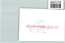 65606 W6256 Aumenau FOTO KEINE AK Bierstube