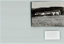 57299 W5909 Holzhausen , Siegerl FOTO KEINE AK
