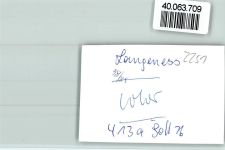 25863 W2251 Langeneß FOTO KEINE AK