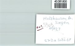 57299 W5909 Holzhausen , Siegerl FOTO KEINE AK