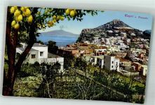 80073 Capri Foto AK Vesuv Zitronenbaum