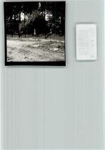 33758 W4815 Stukenbrock FOTO KEINE AK Safaripark, Marabu