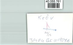 54536 W5563 Kröv FOTO KEINE AK Ortsansicht