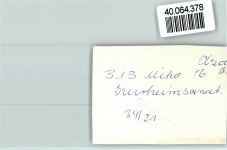 79215 W7807 Elzach FOTO KEINE AK Kurheimsanatorium