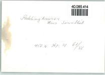34593 W3589 Reddingshausen FOTO KEINE AK Haus Sonnenblick