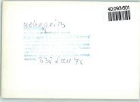 38700 W3389 Hohegeiß FOTO KEINE AK Wippich