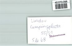 88131 W8990 Lindau (Bodensee) FOTO KEINE AK Camping