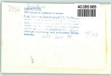 37671 W3470 Godelheim FOTO KEINE AK Treibholz