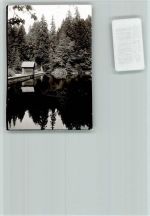 94556 W8351 Waldhäuser FOTO KEINE AK Martinsklause