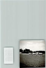 33758 W4815 Stukenbrock FOTO KEINE AK Antilopen