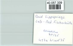 33175 W4792 Bad Lippspringe FOTO KEINE AK Cafe Fischerhütte