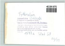 91278 W8573 Pottenstein , Oberfr FOTO KEINE AK Wassermühlenrad
