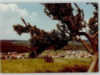 66679 W6646 Waldhölzbach FOTO KEINE AK Teilansicht
