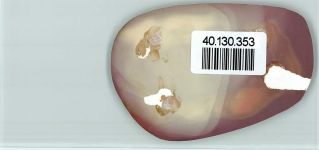 49176 W4517 Borgloh - Foto