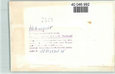 24321 W2322 Hohwacht (Ostsee) FOTO KEINE AK Kirche