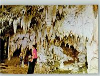 Tropsteinhöhle Grotte Comarnic Tropfsteinhöhle