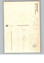 37445 W3425 Walkenried