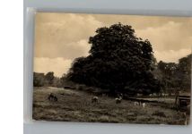 18581 O2353 Putbus