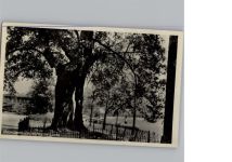 16816 O1950 Neuruppin