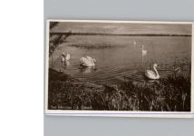 39619 O3552 Arendsee (Altmark)