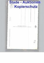 38709 W3391 Wildemann - Wildemann