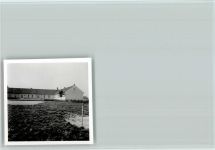 49176 W4517 Borgloh - Foto