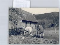 66996 W6781 Fischbach bei Dahn - Foto